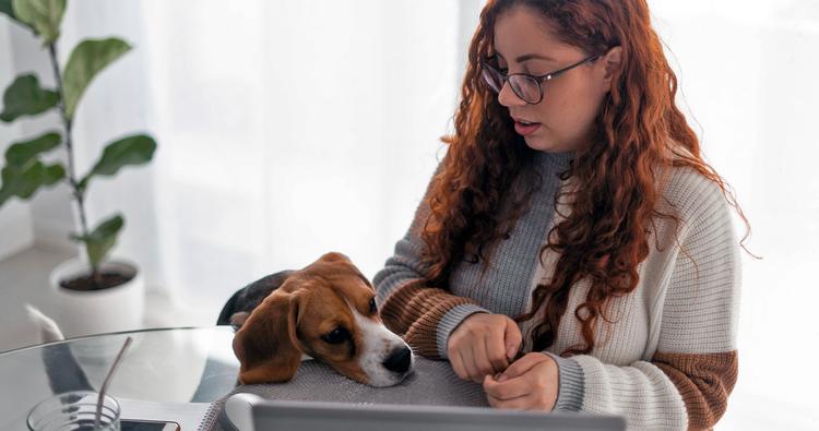 How Do I Give Up My Beagle?