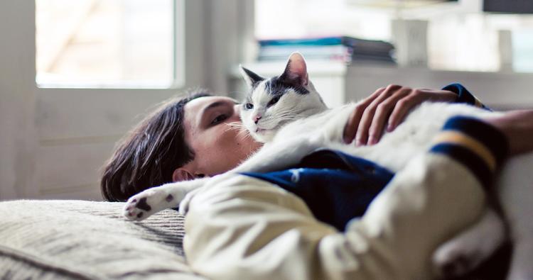 Can Cats Smell Cancer?