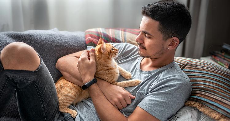 How to Choose a Cat: Find a Cat That Is Right For You