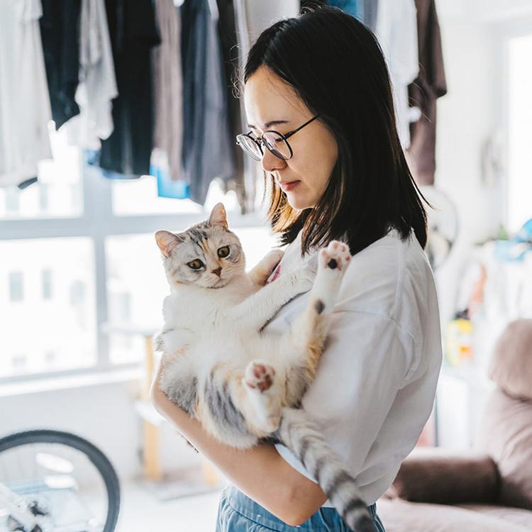 How Much Do Cats Cost? Average Monthly Costs Explained