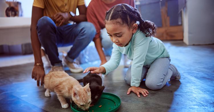 Cats and Kids: Preparing for Cat Adoption