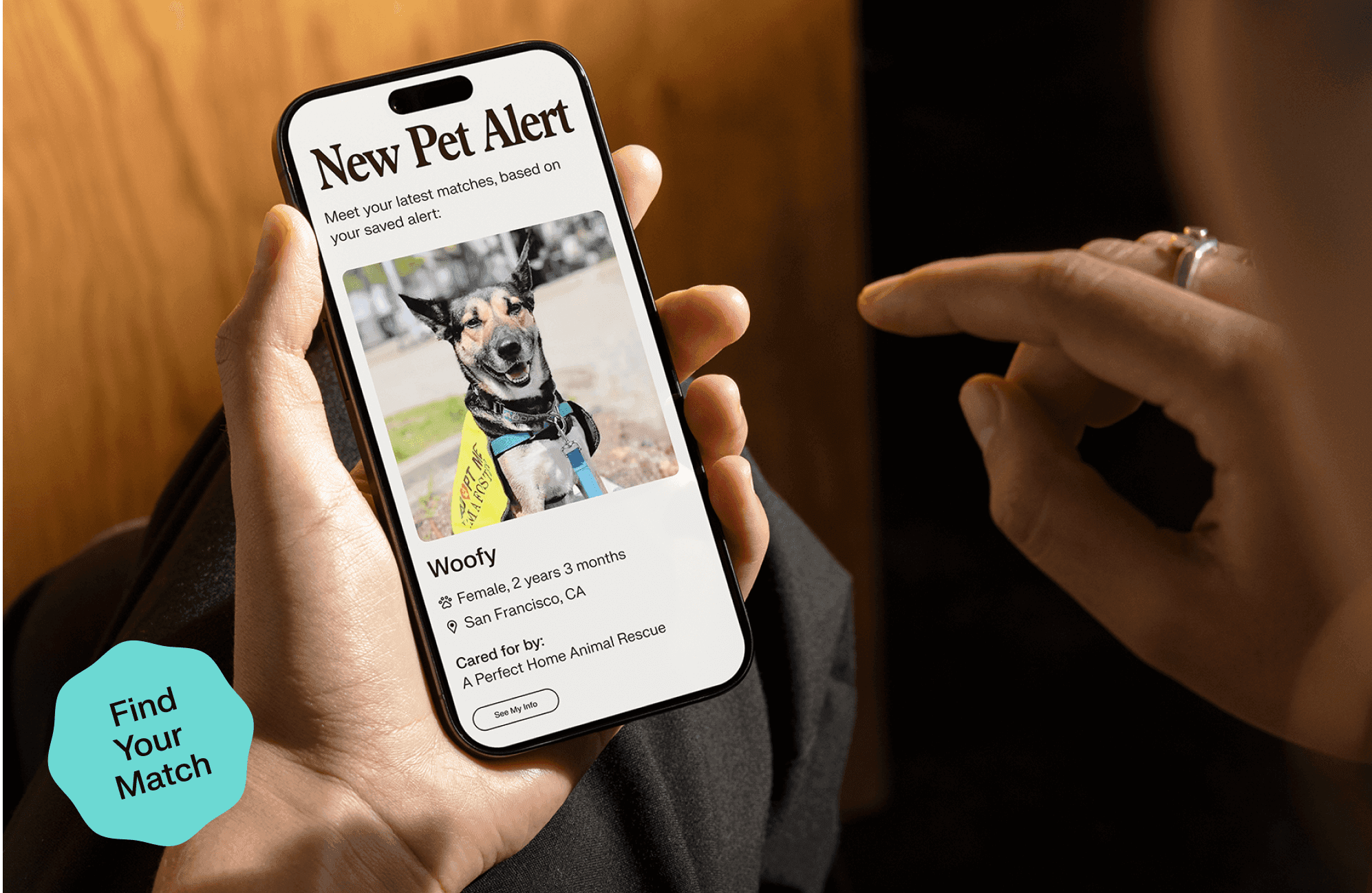 A person viewing a New Pet Alert on their mobile phone