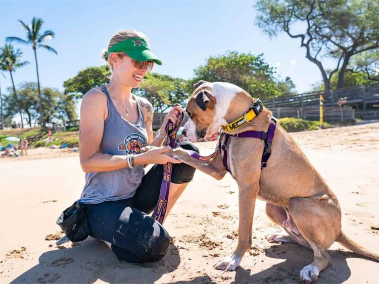 Maui Humane Society’s Innovative Programs Unite Dogs and Island Visitors