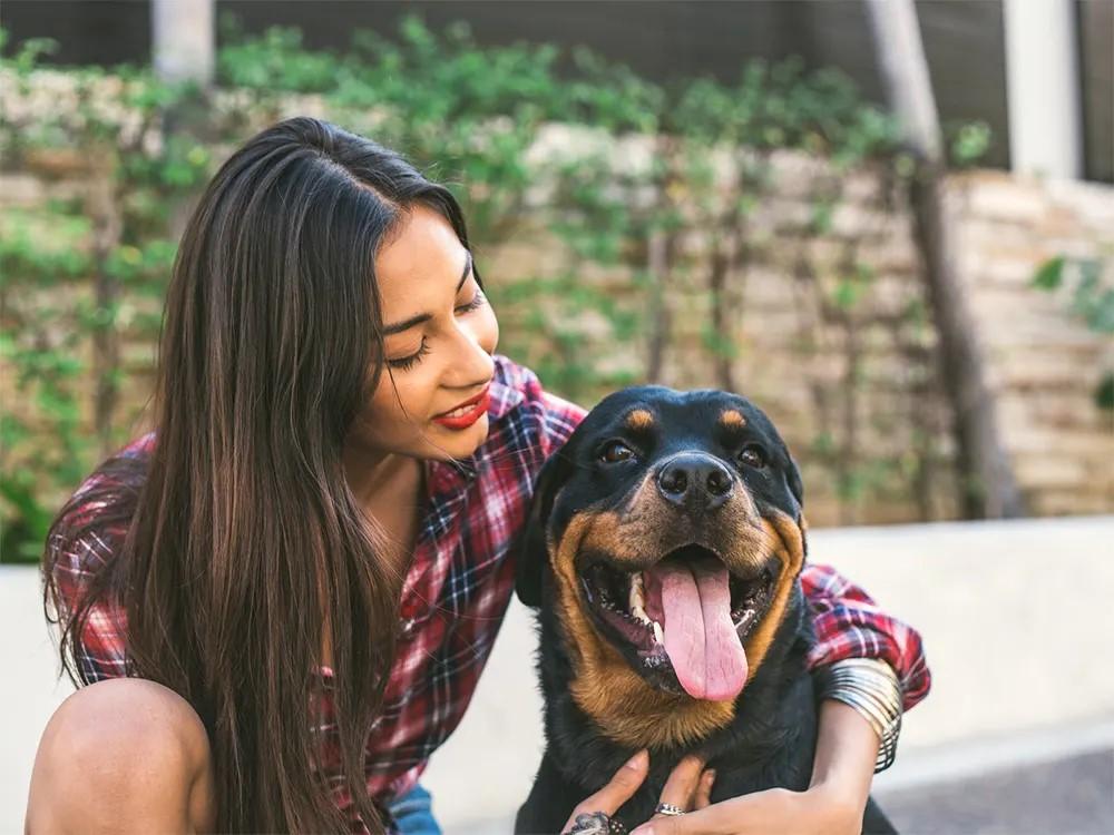 rottweiler dog with woman