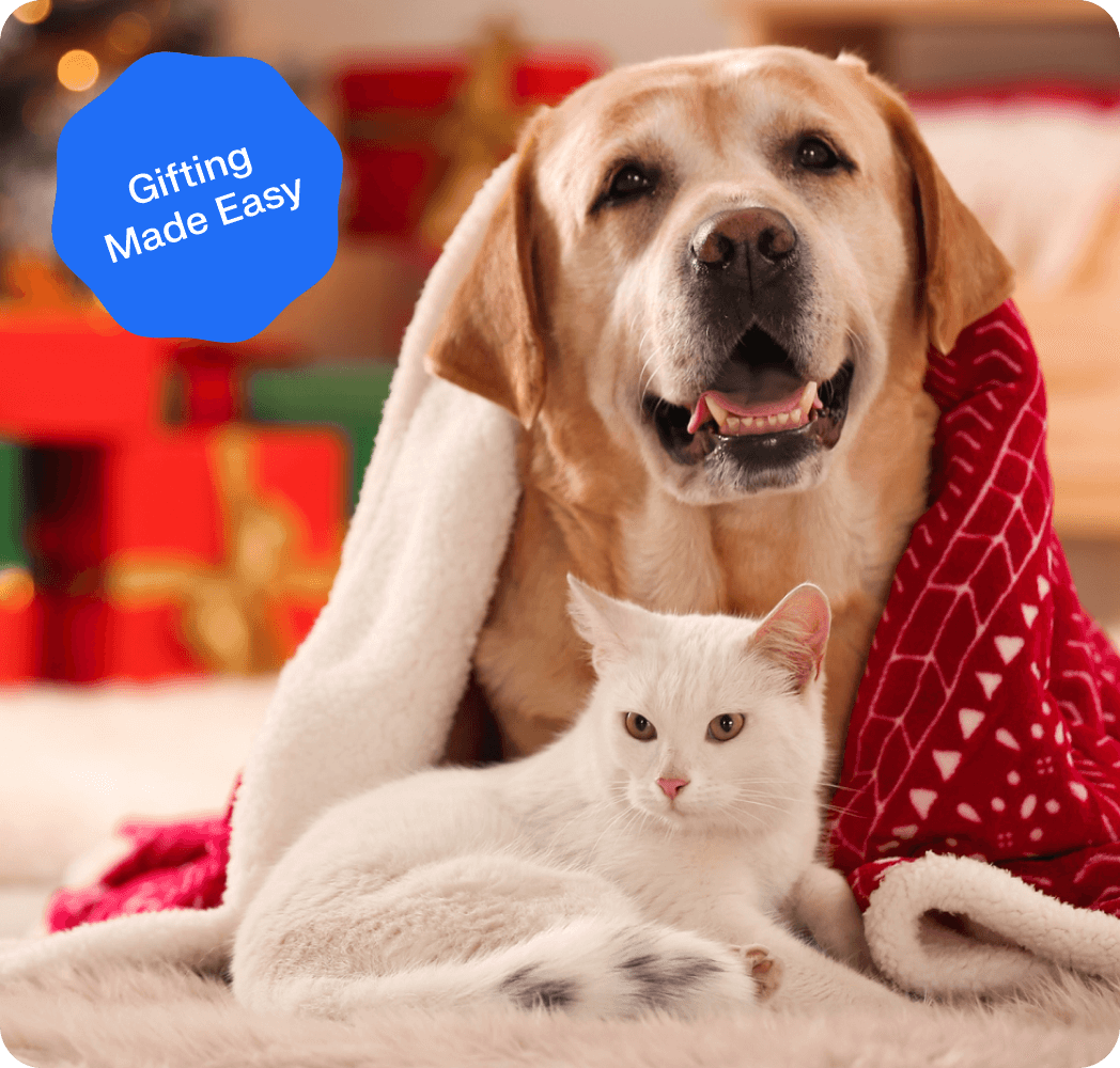 PetSmart ad image - header