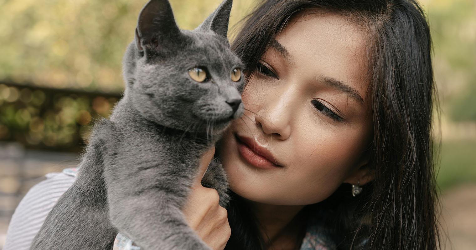 8 Signs You’re Ready to Get a Cat