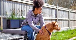 Dog Trainer’s Six Essential Tips for House Training Success
