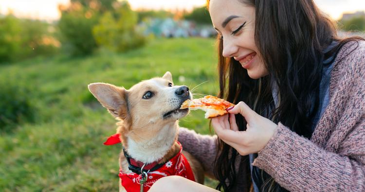 Can I Feed My Dog Human Food Every Day?