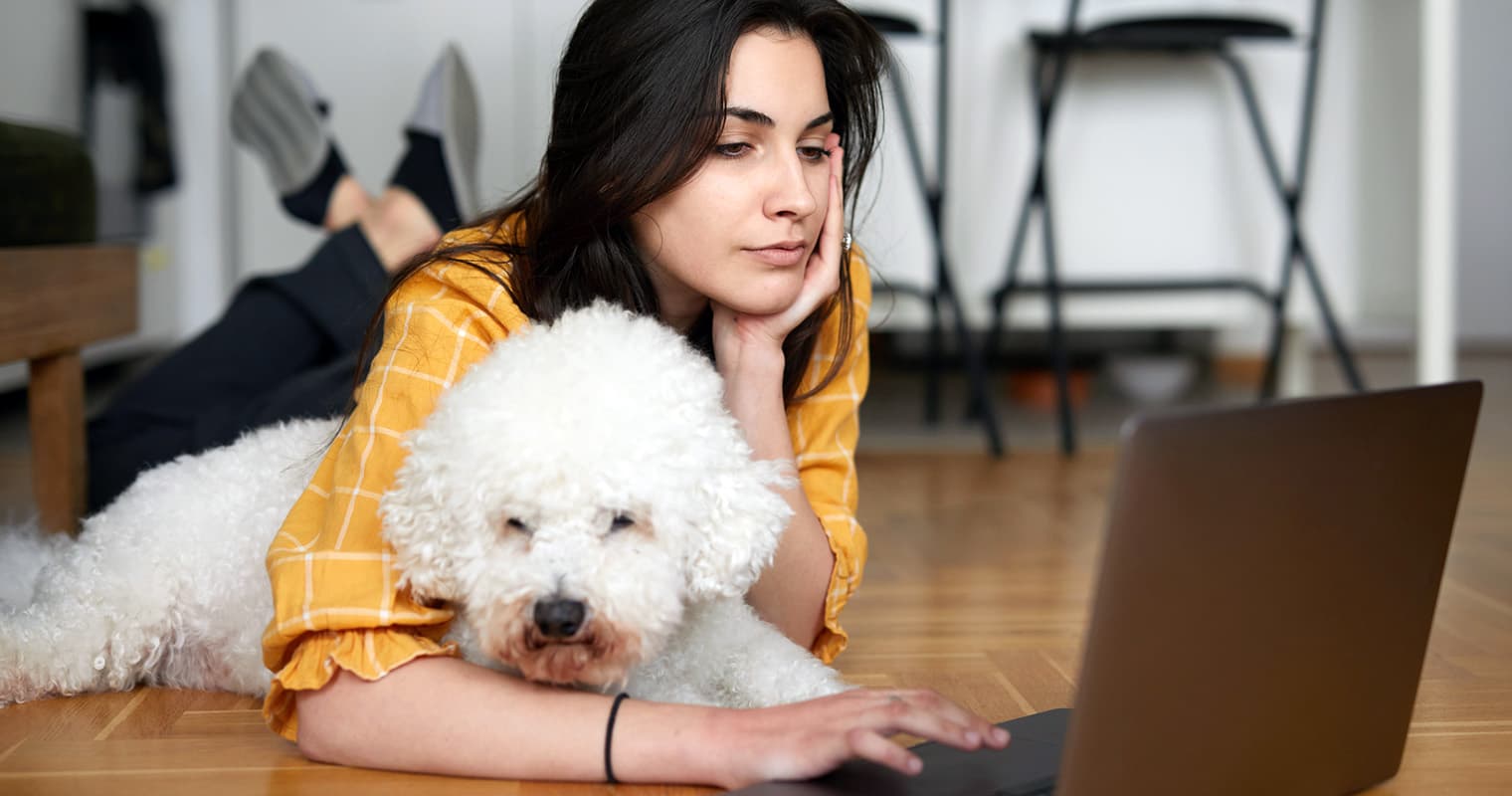 How Can I Find A Home For My Dog?