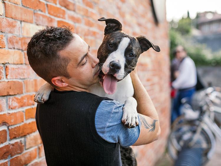 15 Most Loyal Dogs Who You Can Always Count On