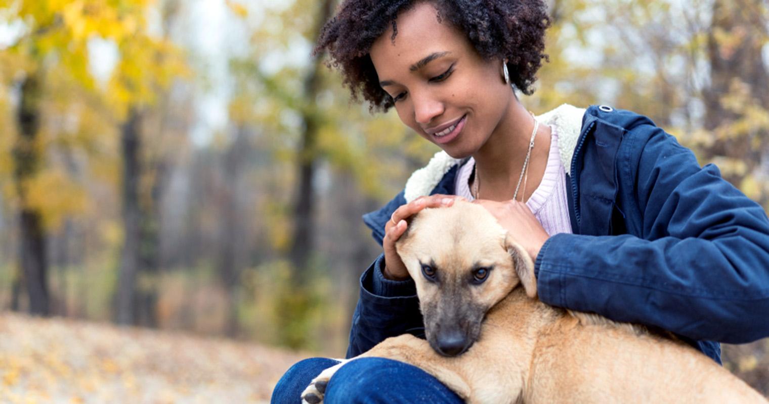 Why Do Dogs Bite Their Pet Parents?