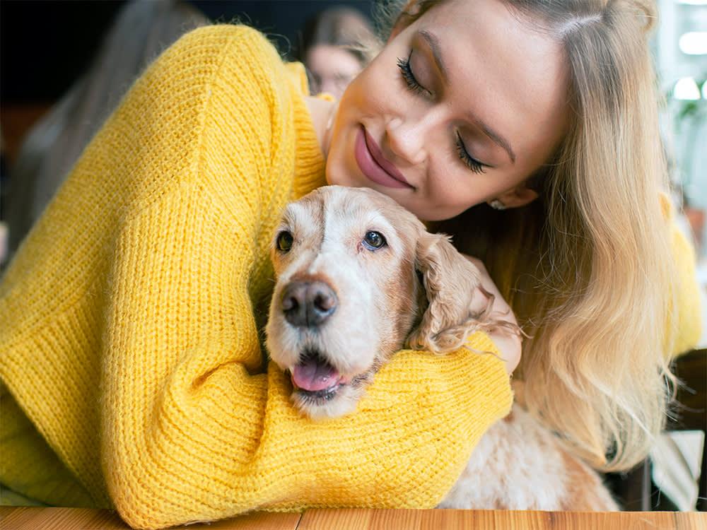 Pet Insurance 101: 5 Reasons Why You Need It & How It Works