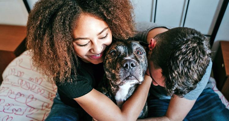 15 Most Affectionate Dog Breeds That Will Adore You