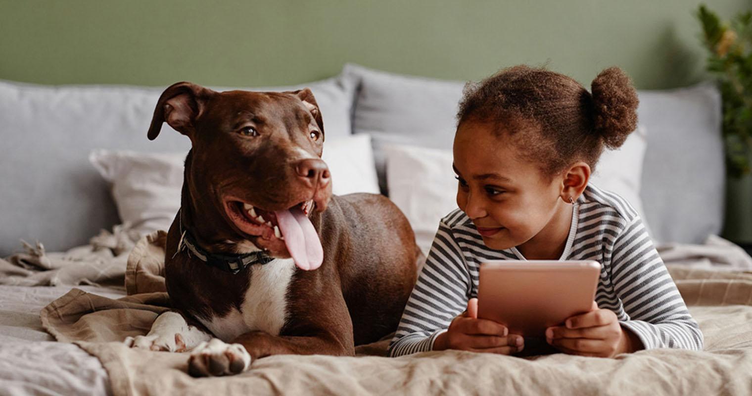 Why Are Pit Bulls Called Nanny Dogs?