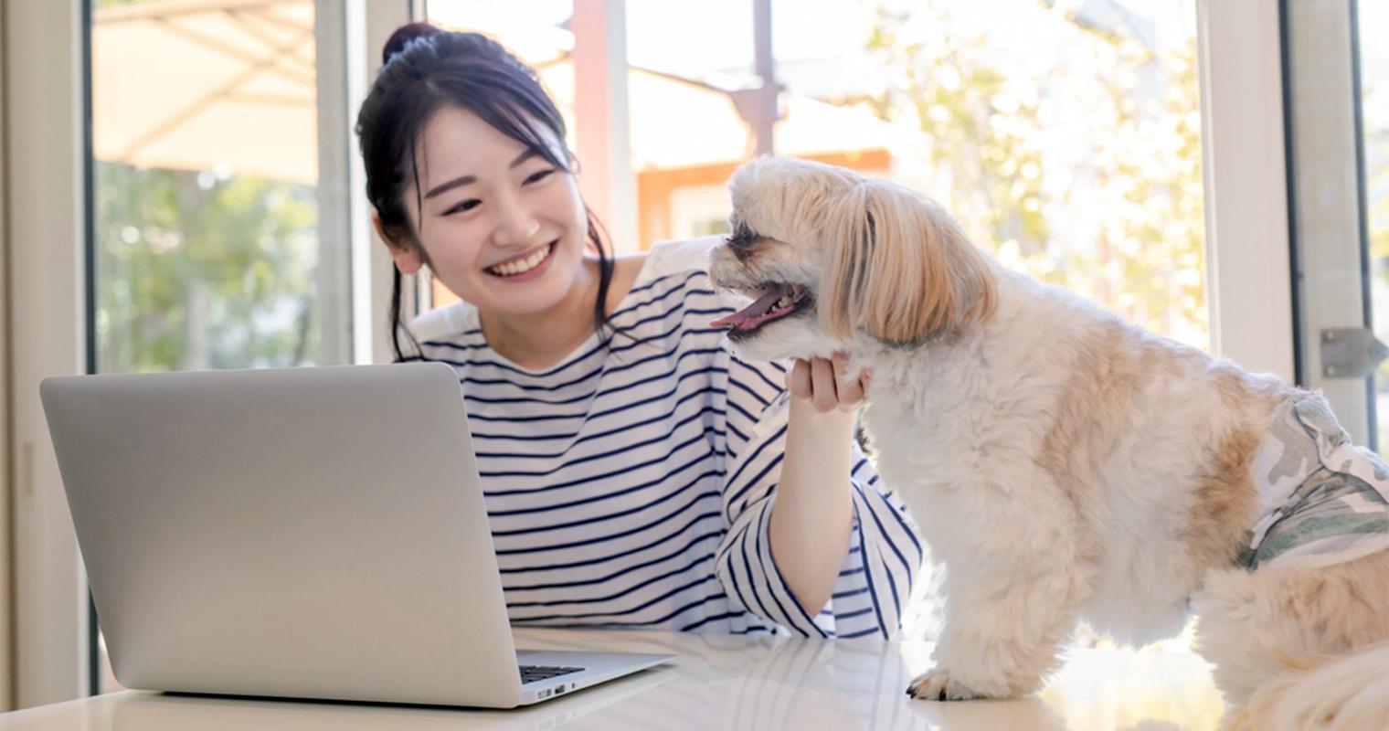 How Do I Find a Good Home for My Shih Tzu?