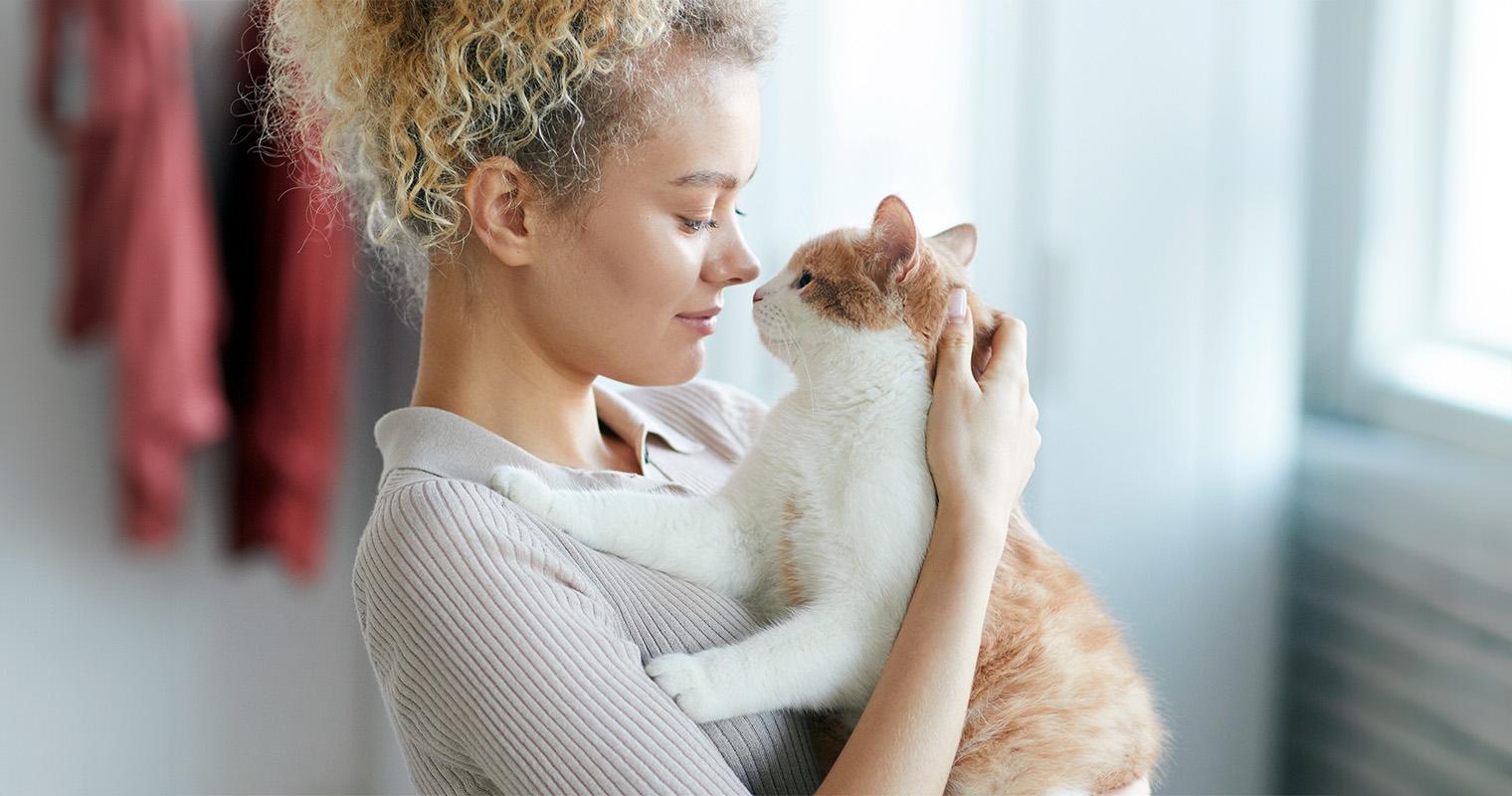 What Can I Give My Cat For Stress?