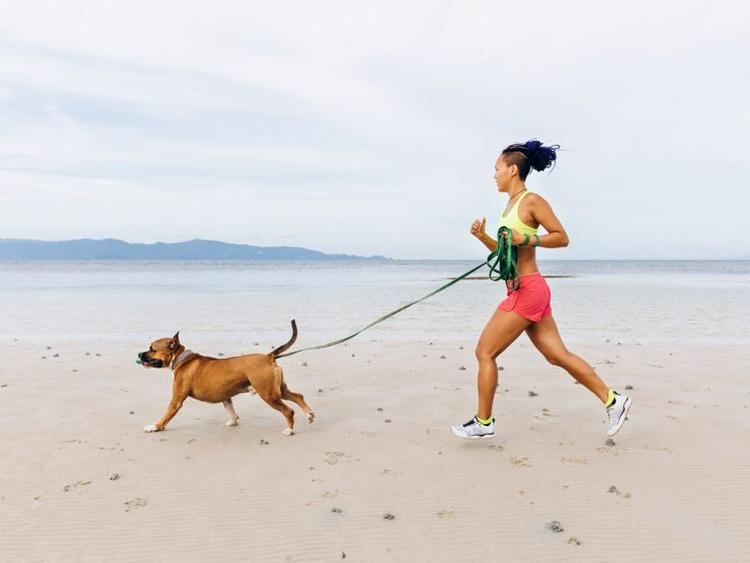 Top 10 Best Dogs for Runners