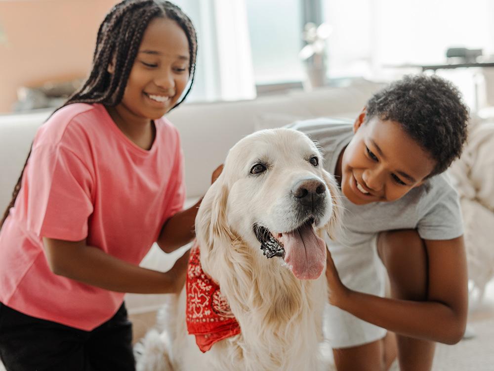 13 Best Dogs for Families of Every Kind