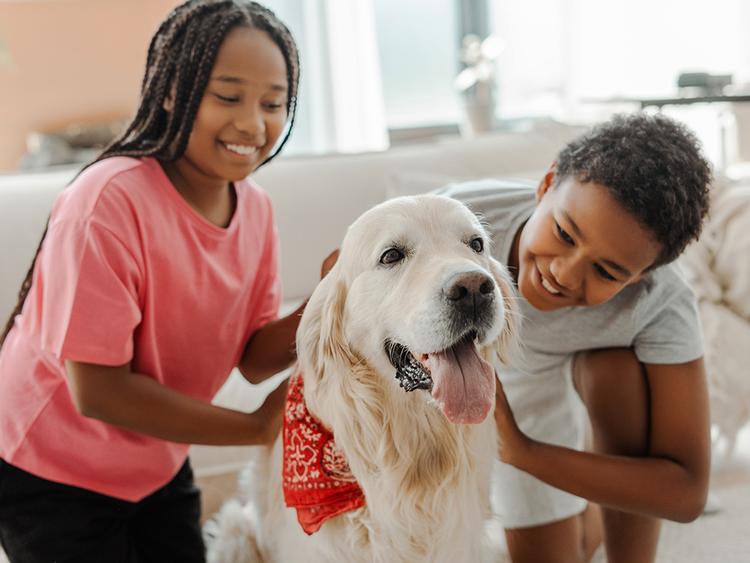 13 Best Dogs for Families of Every Kind
