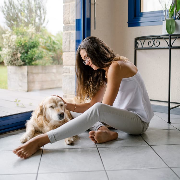 How Much Does it Cost to Foster a Dog?