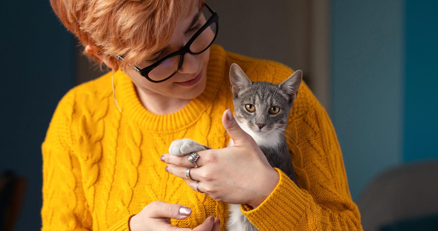How to Welcome a New Cat? Your New Cat’s First Day