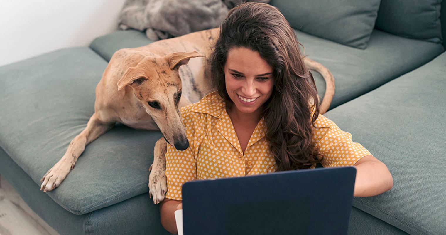 How to Find a Dog to Adopt