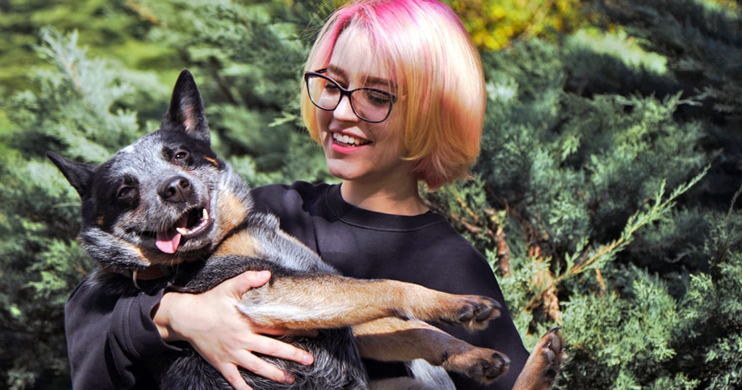 Can I Drop My Australian Cattle Dog Off at an Animal Shelter?