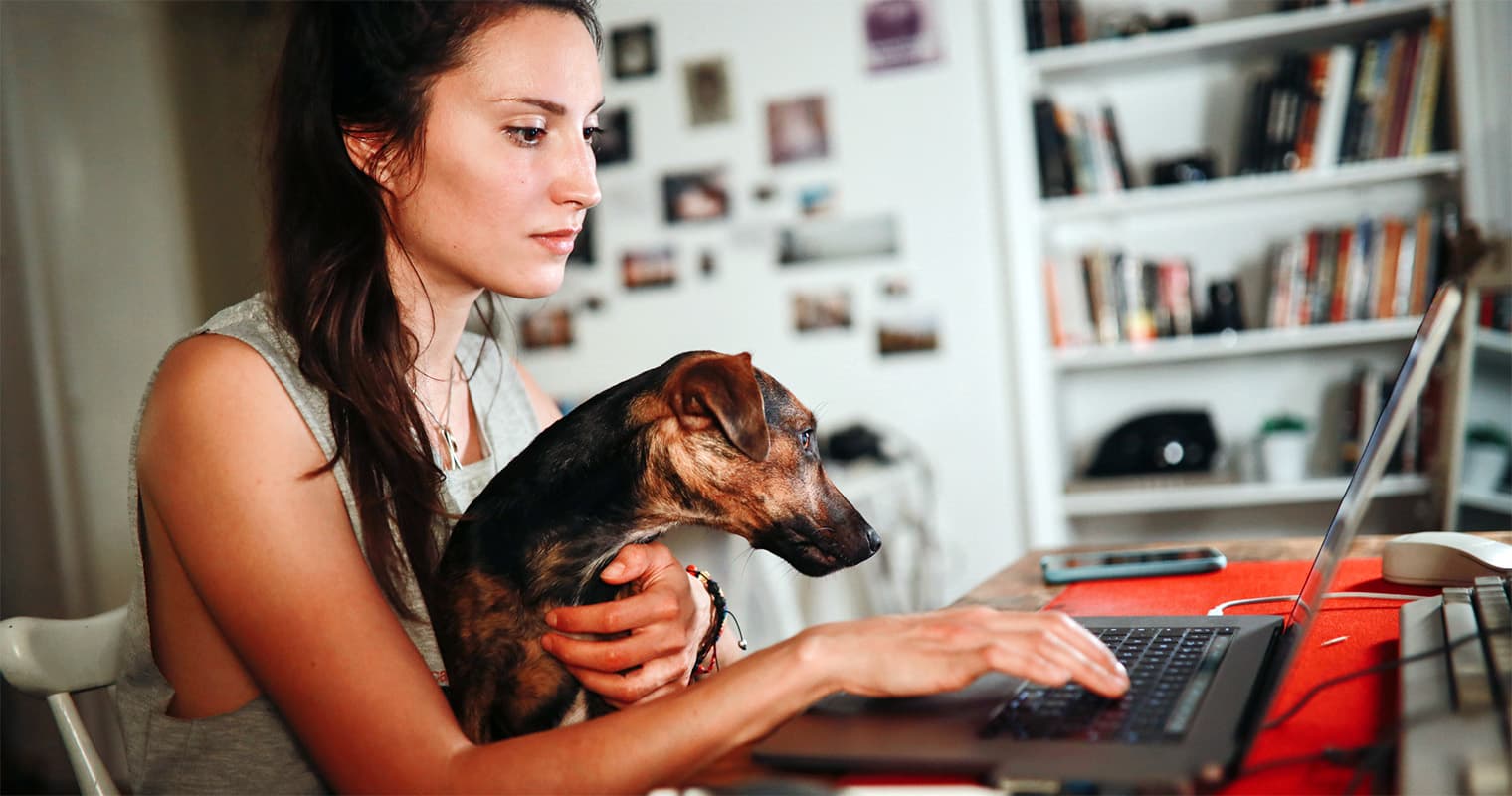 Where Can I Put a Dog Up for Adoption?