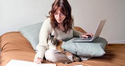 Am I Too Busy for a Cat?