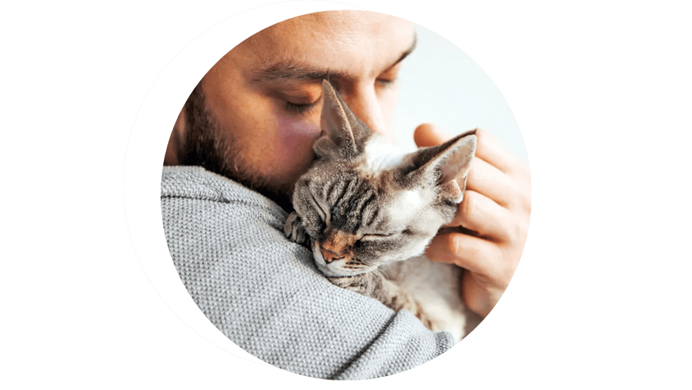 cat being snuggled by person