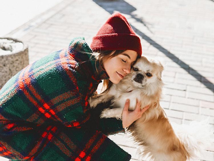 Most Calm Dog Breeds: 10 Pups with Chill Vibes