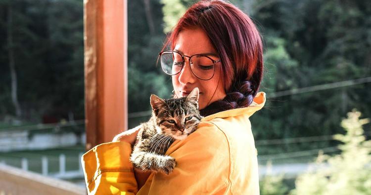 5 Ways to Celebrate International Rescue Cat Day
