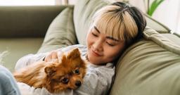 How to Dog Proof Your House: Preparing Your Home for Dog Adoption