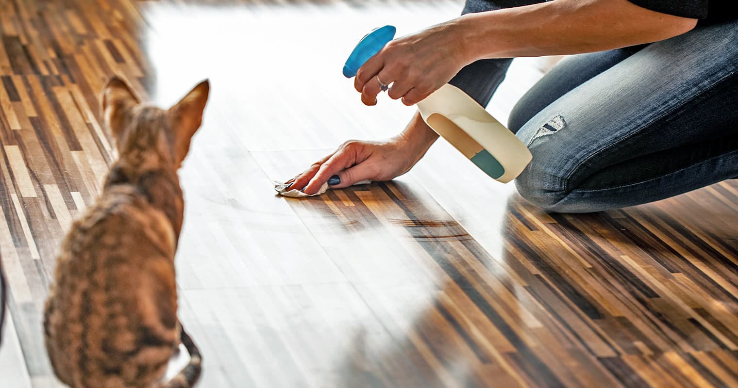 Why Is My Cat Pooping On The Floor?