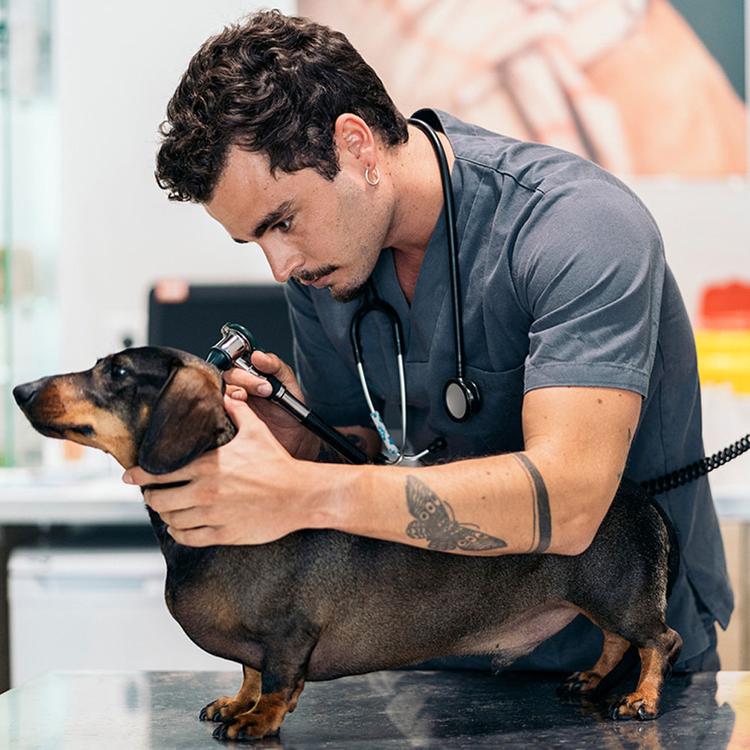 Puppy’s First Vet Visit: What To Expect