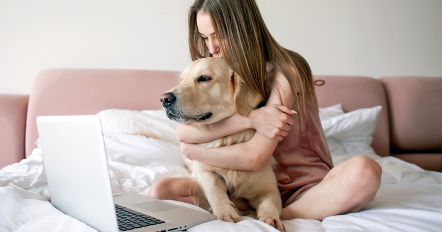 How Do I Find a Good Home for My Golden Retriever?