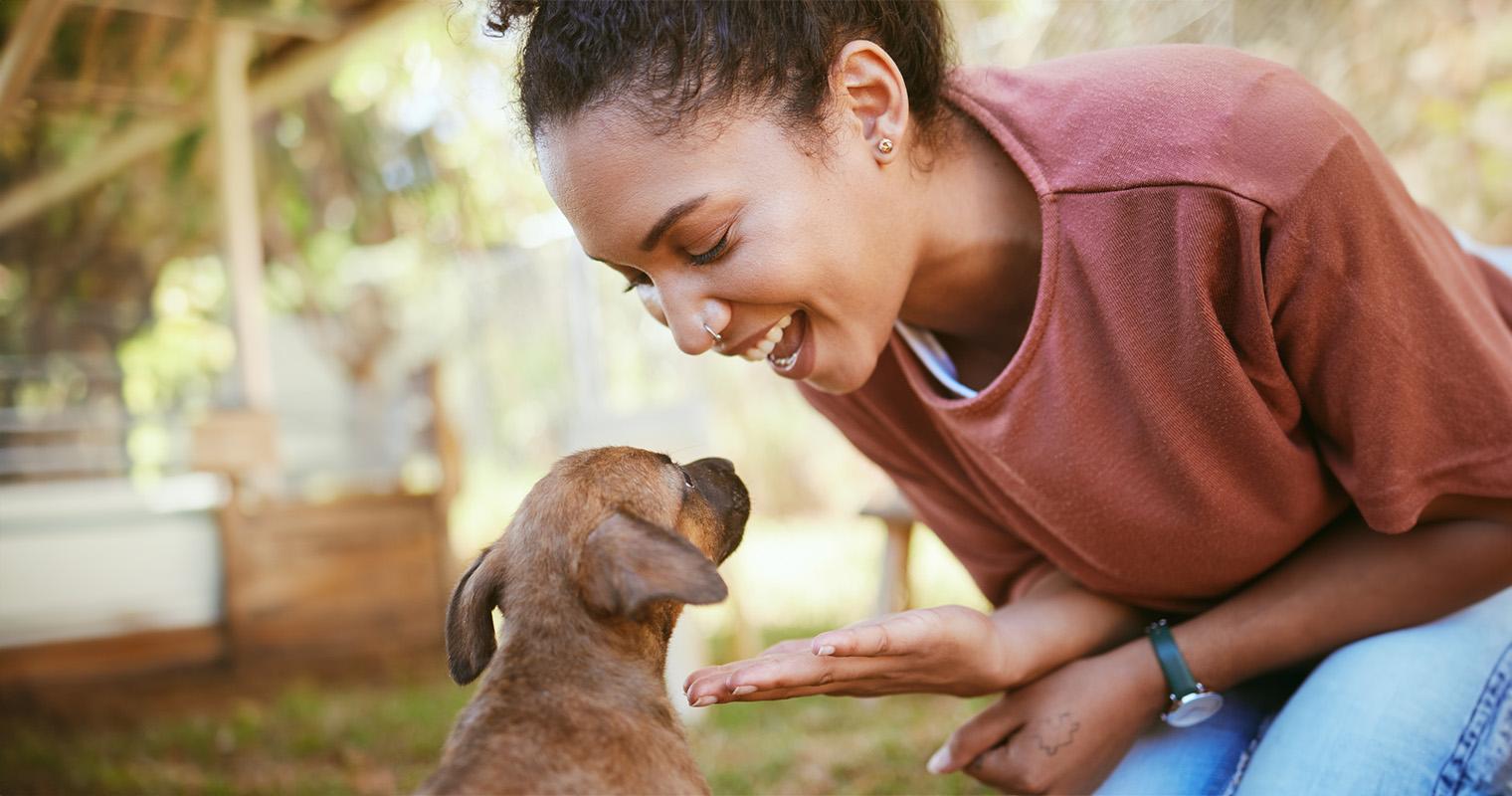 Why You Should Adopt Instead of Buying From a Breeder