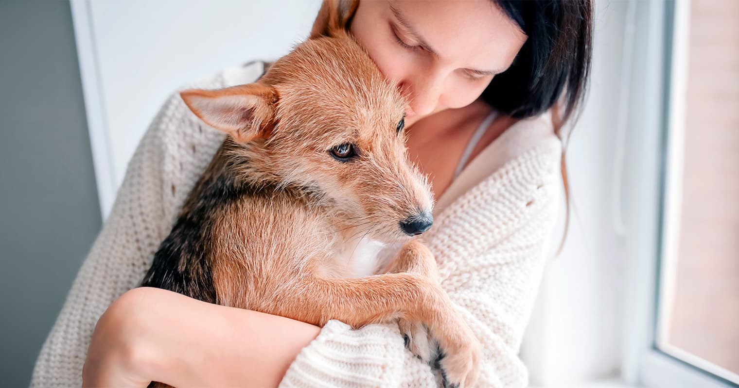 What Does it Mean to Rehome a Dog?