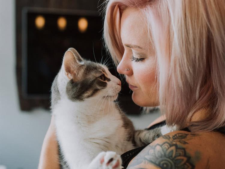 10 Affectionate Cat Breeds Who Love to Snuggle