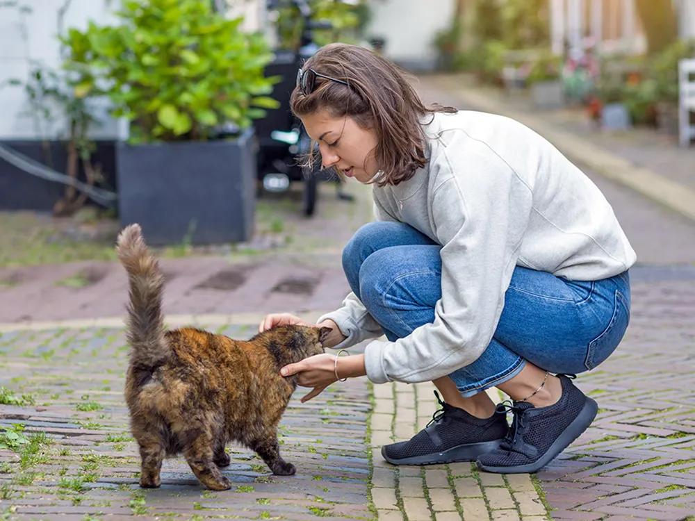 woman meeting stray cat on the street