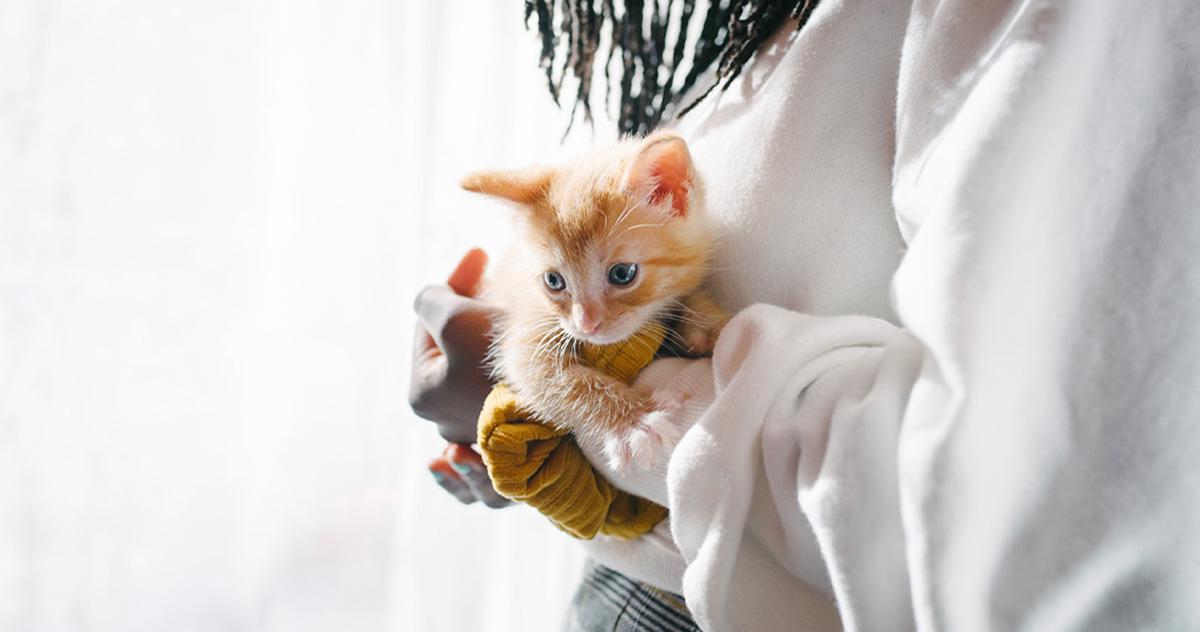 Why Fostering Animals is Important: The Benefits of Fostering Pets
