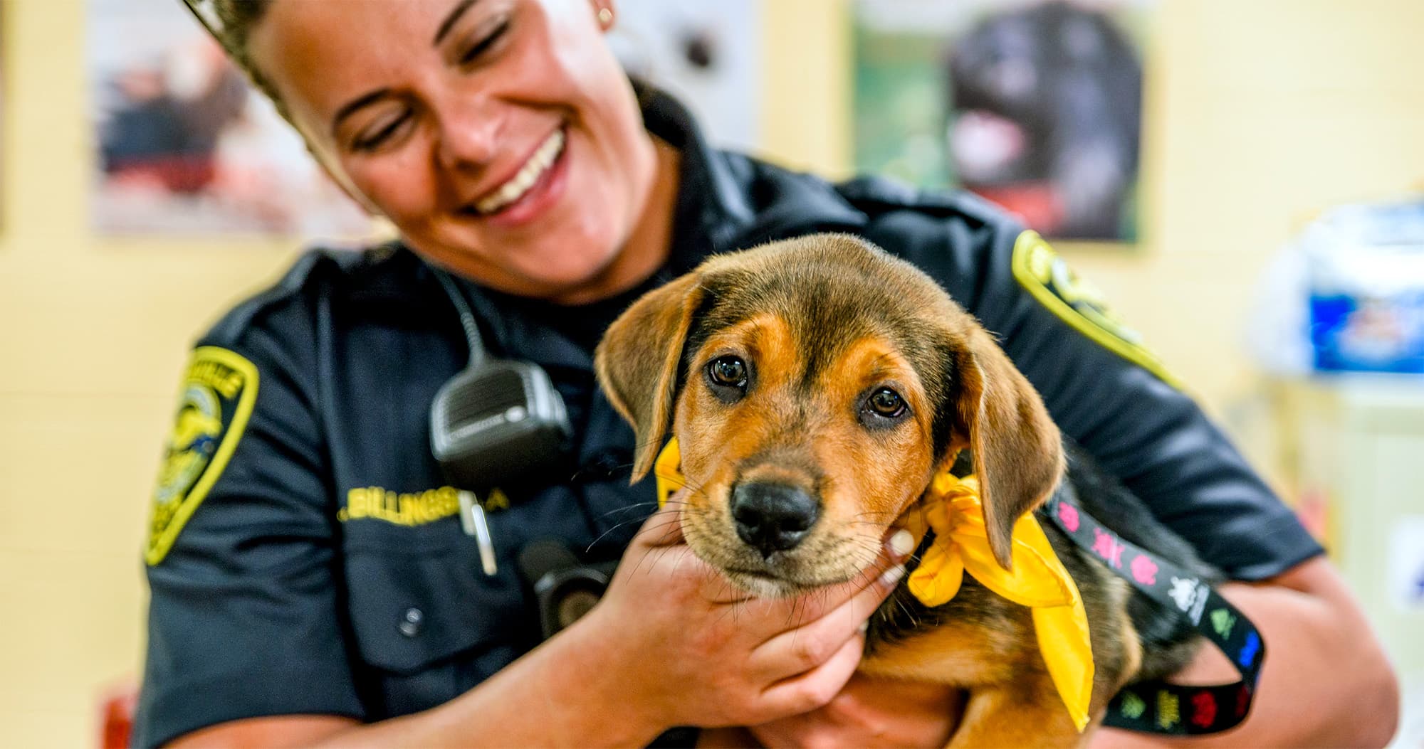 What Does Animal Control Do?