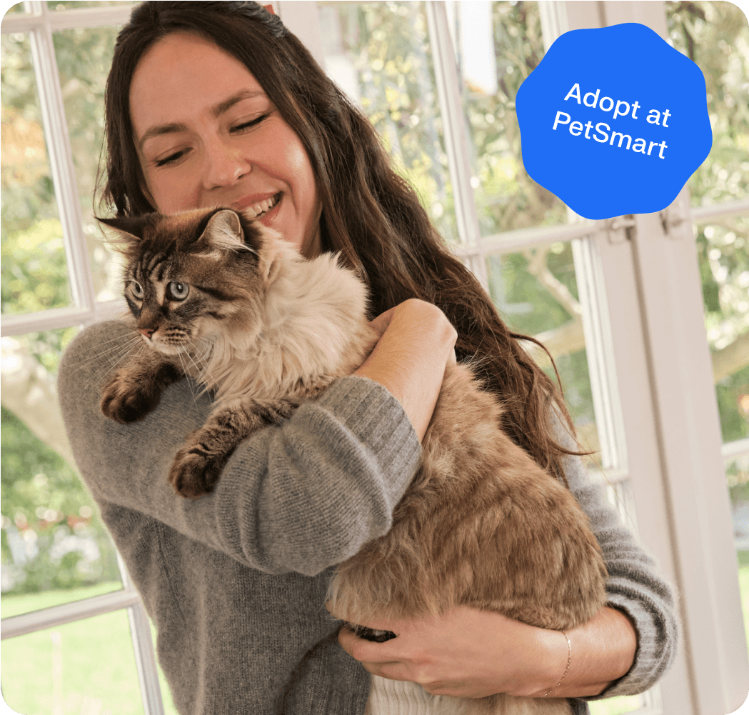 Petsmart ad image - header