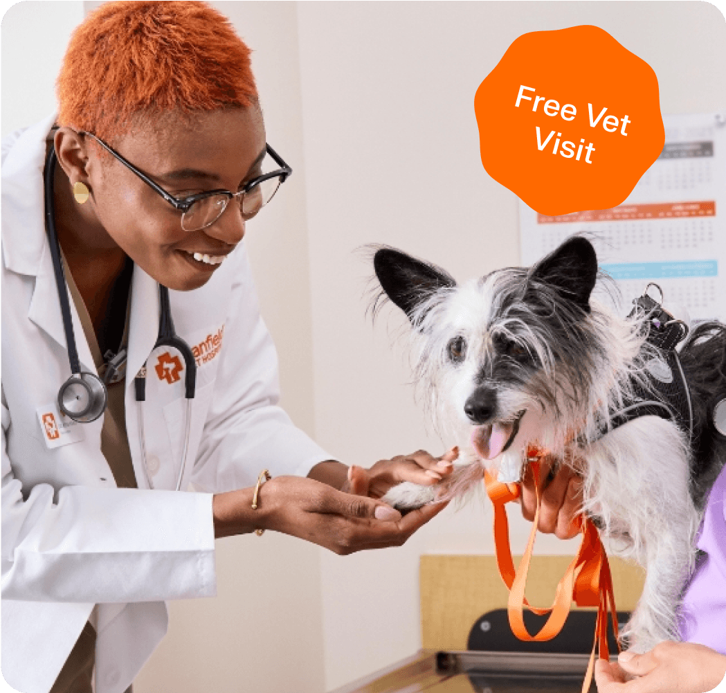 Banfield ad image - header