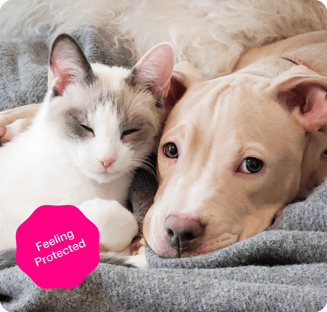 Lemonade ad image - header